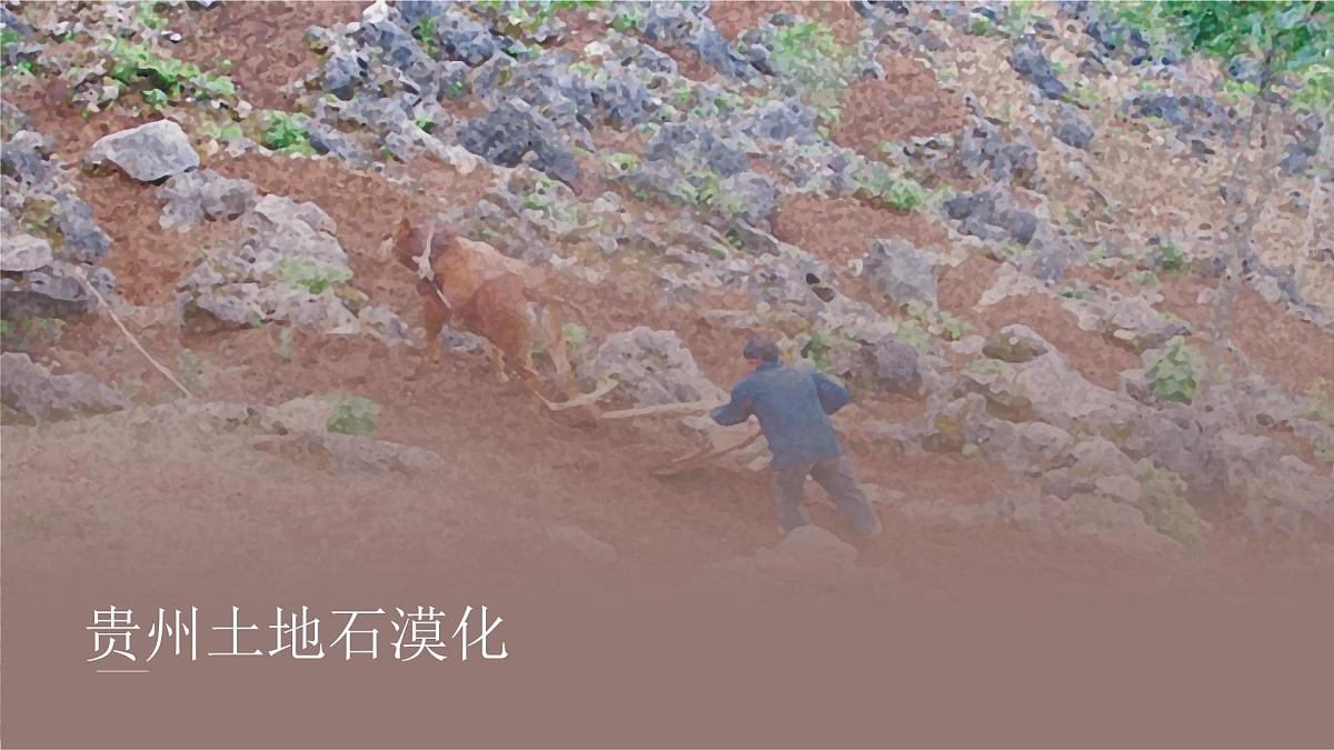 人教版2025高中地理选择性必修三3.3《生态保护与国家安全》 课件第8页