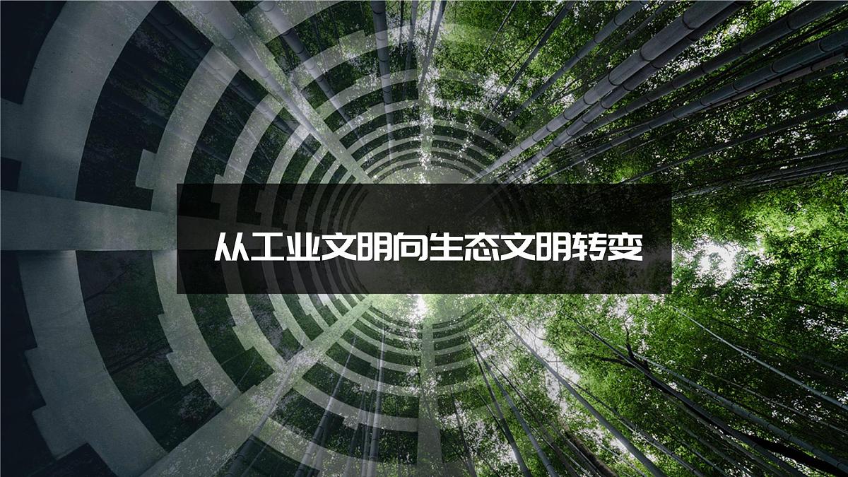 人教版2025高中地理选择性必修三4.1《走向生态文明》 课件第5页
