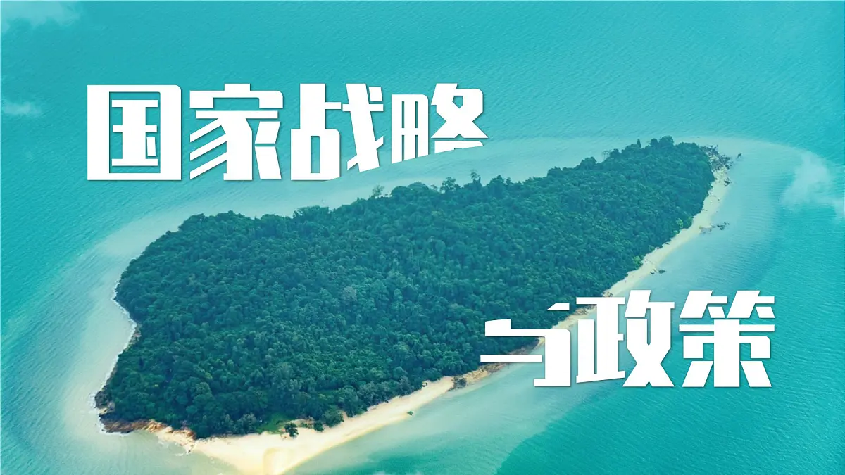 人教版2025高中地理选择性必修三4.2《国家战略与政策》 课件第2页