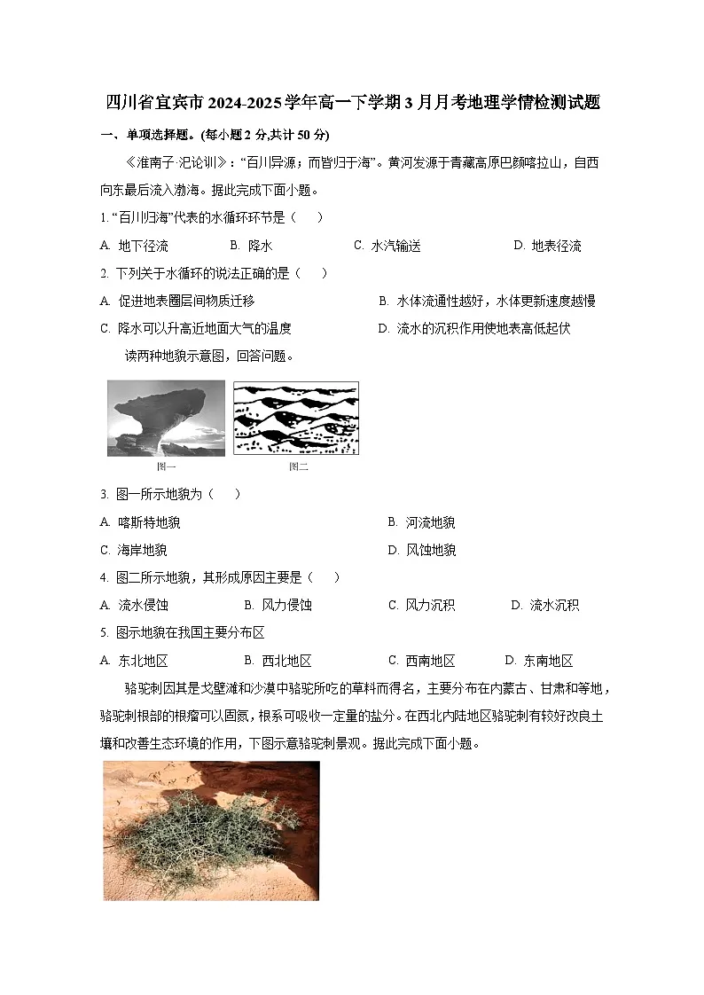 四川省宜宾市2024-2025学年高一下册3月月考地理学情检测试题(附答案)第1页