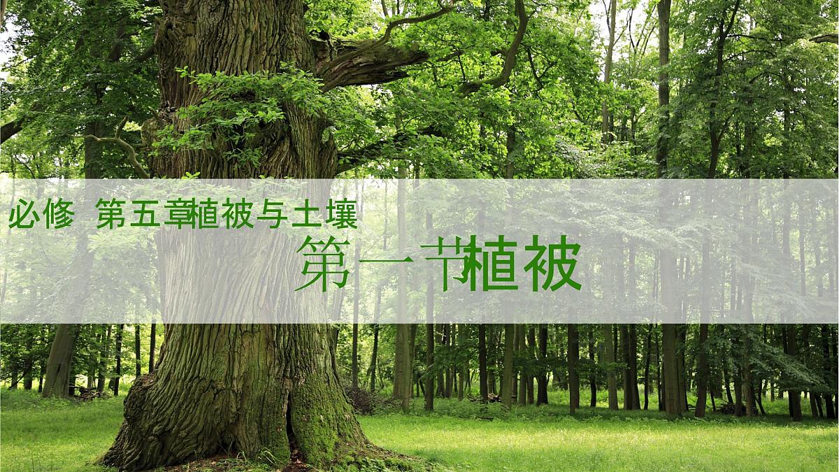 人教版2025高中地理必修一5.1 植被 课件第1页