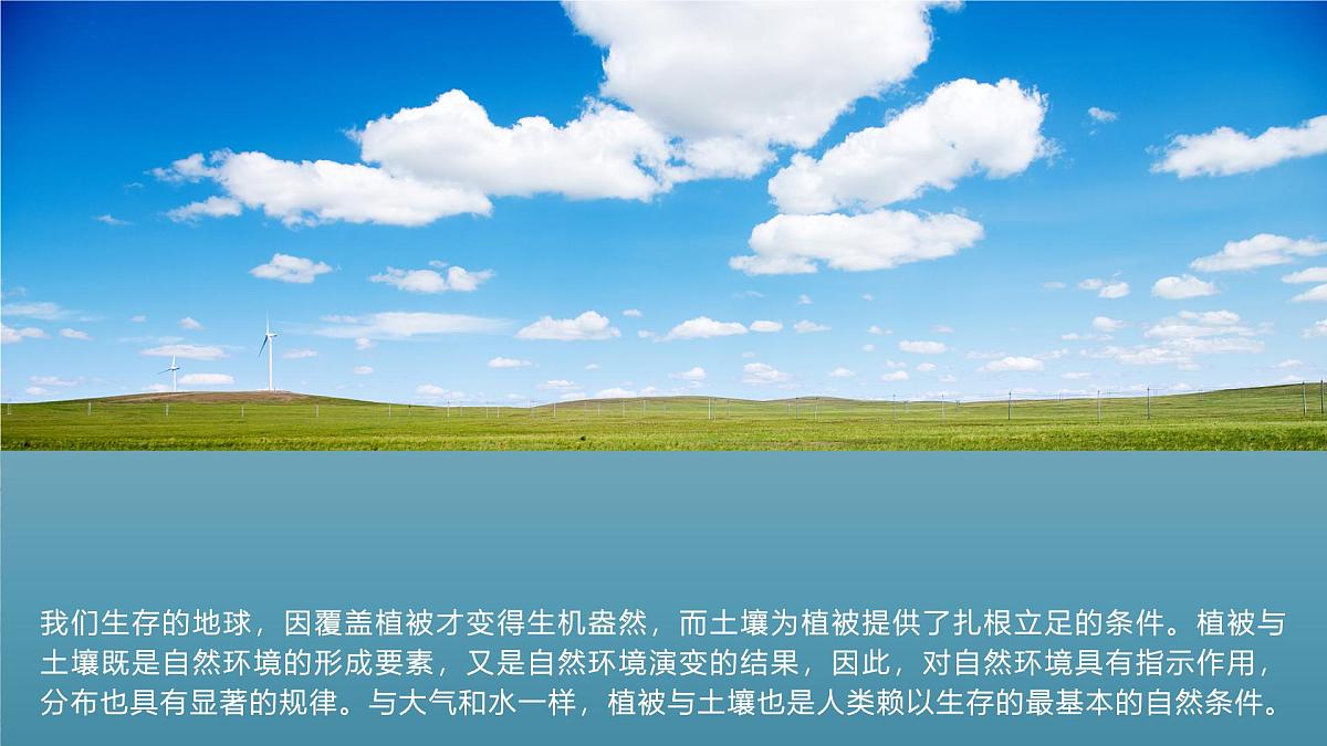人教版2025高中地理必修一5.1 植被 课件第3页