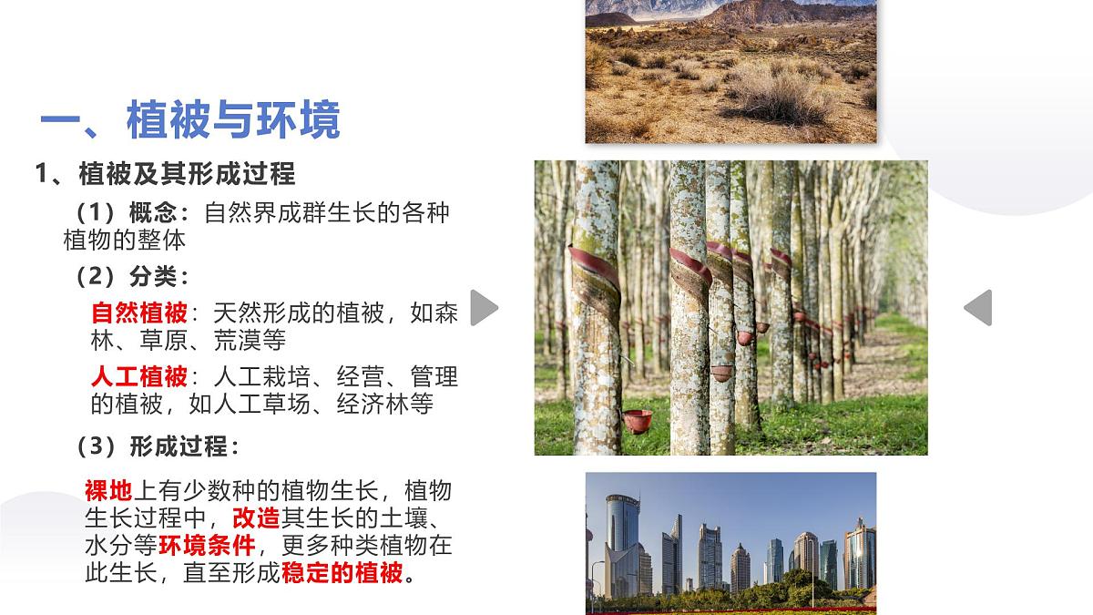 人教版2025高中地理必修一5.1 植被 课件第4页