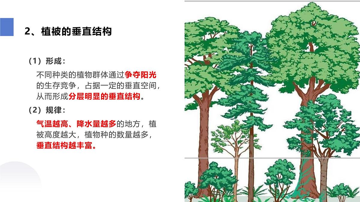 人教版2025高中地理必修一5.1 植被 课件第5页