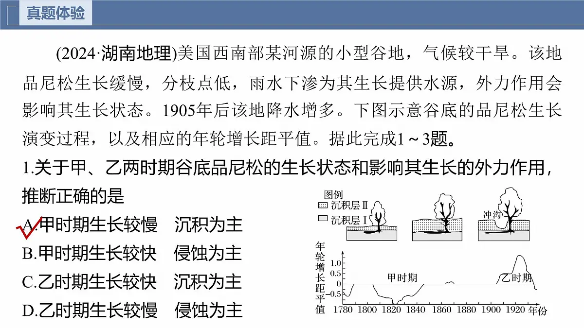 第一部分 素养2 专题5 主题6 植被演替第3页