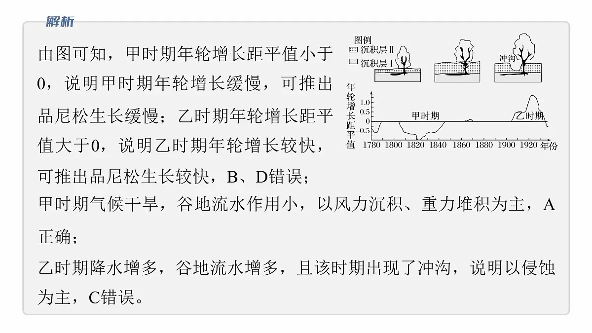 第一部分 素养2 专题5 主题6 植被演替第4页