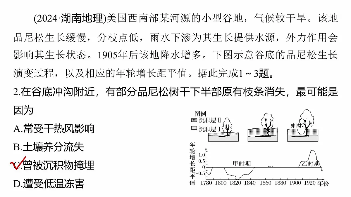 第一部分 素养2 专题5 主题6 植被演替第5页