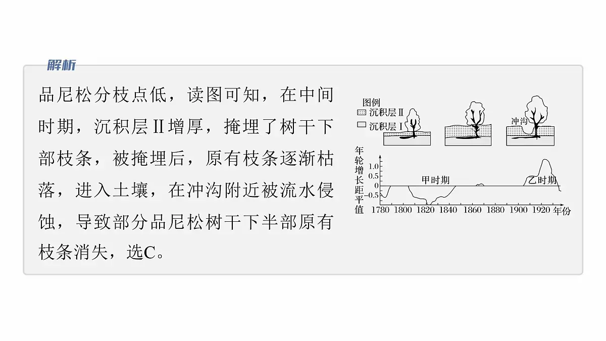 第一部分 素养2 专题5 主题6 植被演替第6页