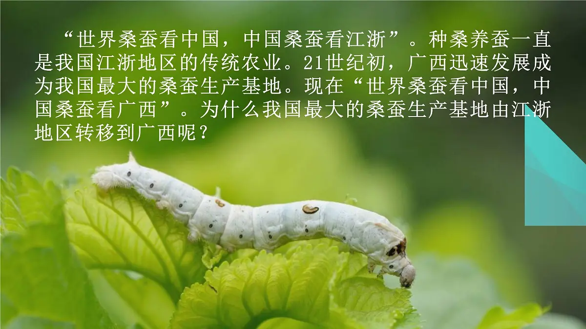人教版高中地理必修 第二册 3-1《农业区位因素及其变化》课件第2页