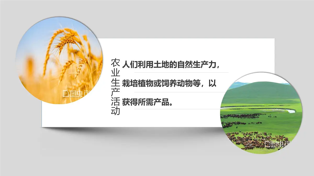 人教版高中地理必修 第二册 3-1《农业区位因素及其变化》课件第5页