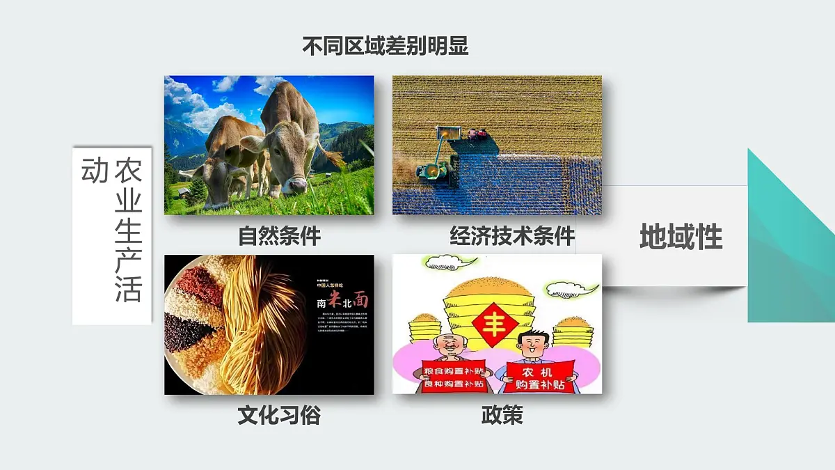 人教版高中地理必修 第二册 3-1《农业区位因素及其变化》课件第6页