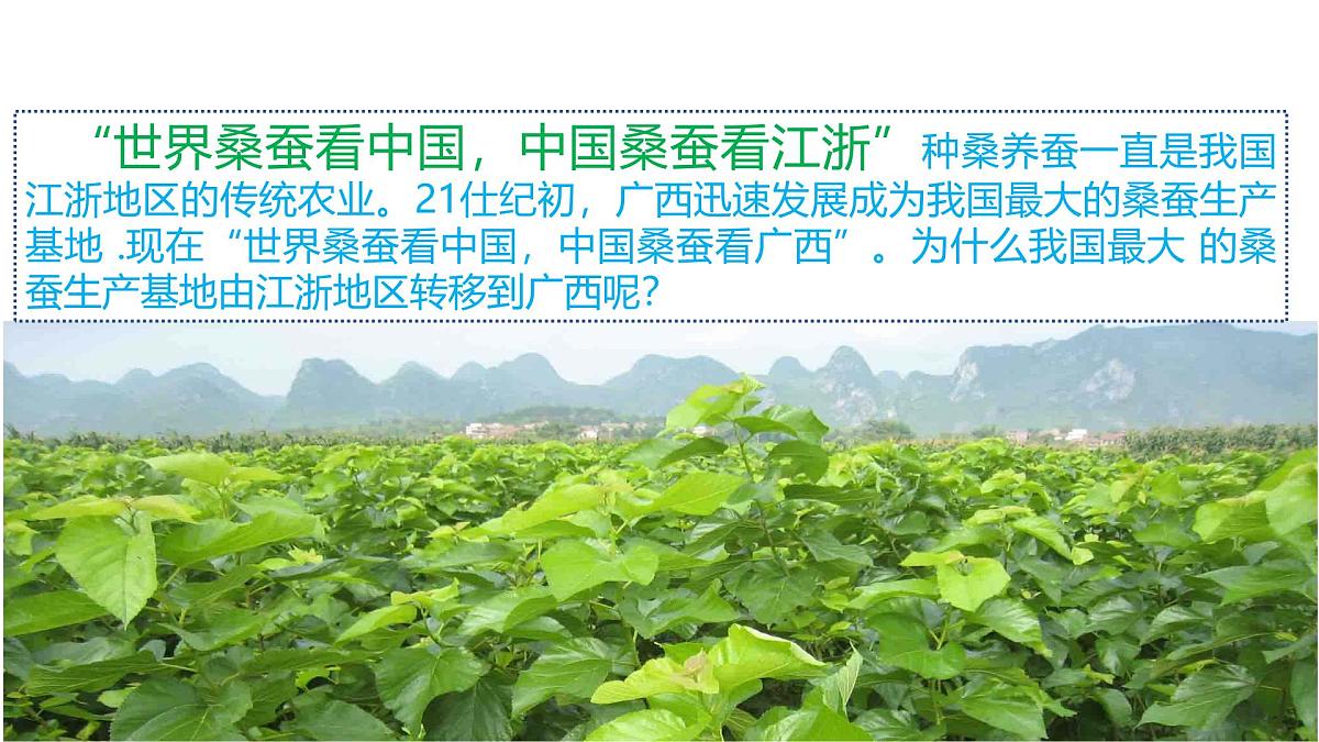人教版高中地理必修 第二册 3-1《农业区位因素及其变化》课件第3页