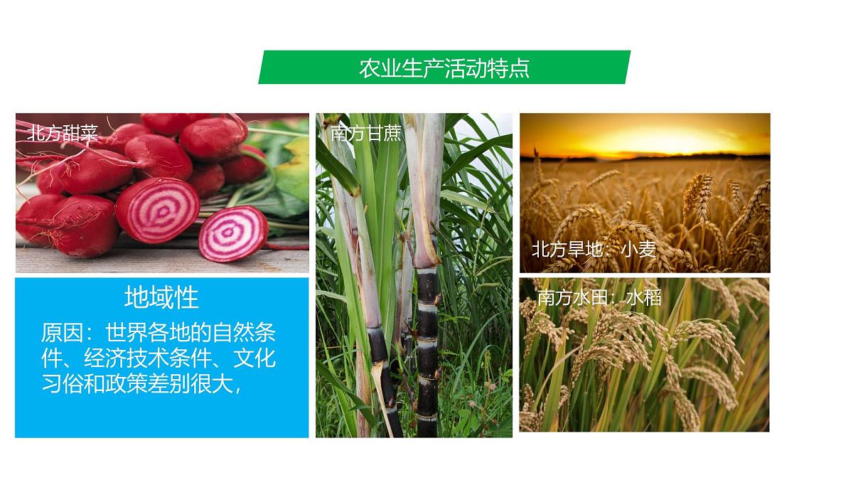 人教版高中地理必修 第二册 3-1《农业区位因素及其变化》课件第6页