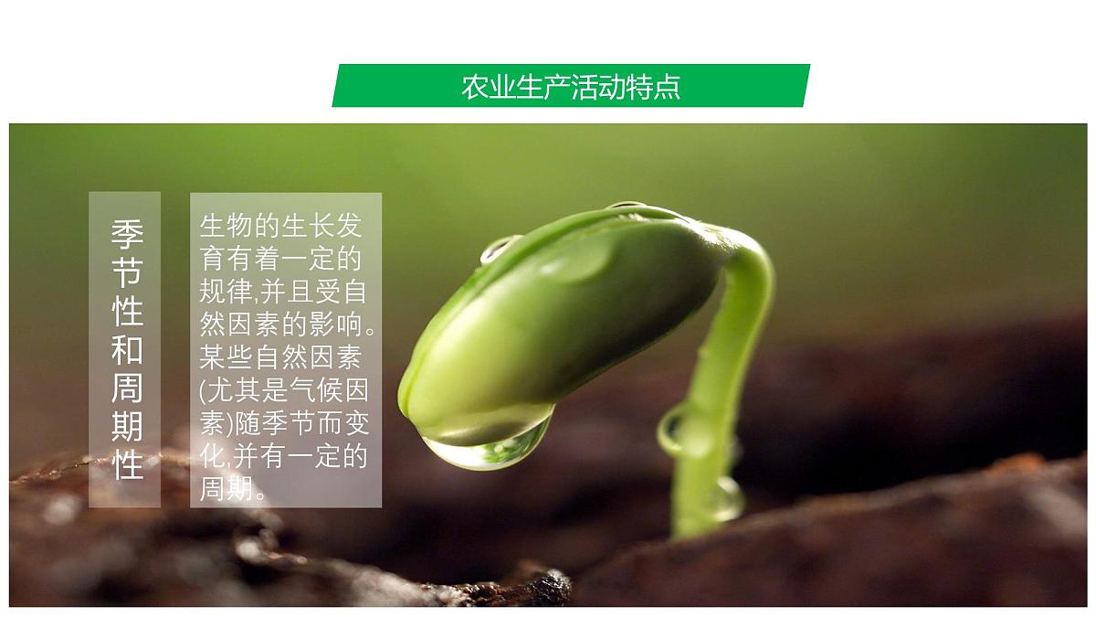 人教版高中地理必修 第二册 3-1《农业区位因素及其变化》课件第7页