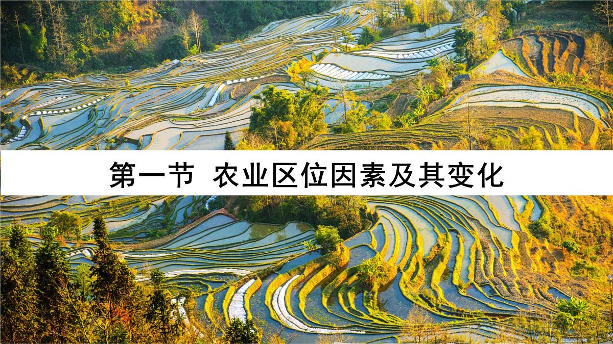人教版高中地理必修 第二册 3-1《农业区位因素及其变化》课件第1页