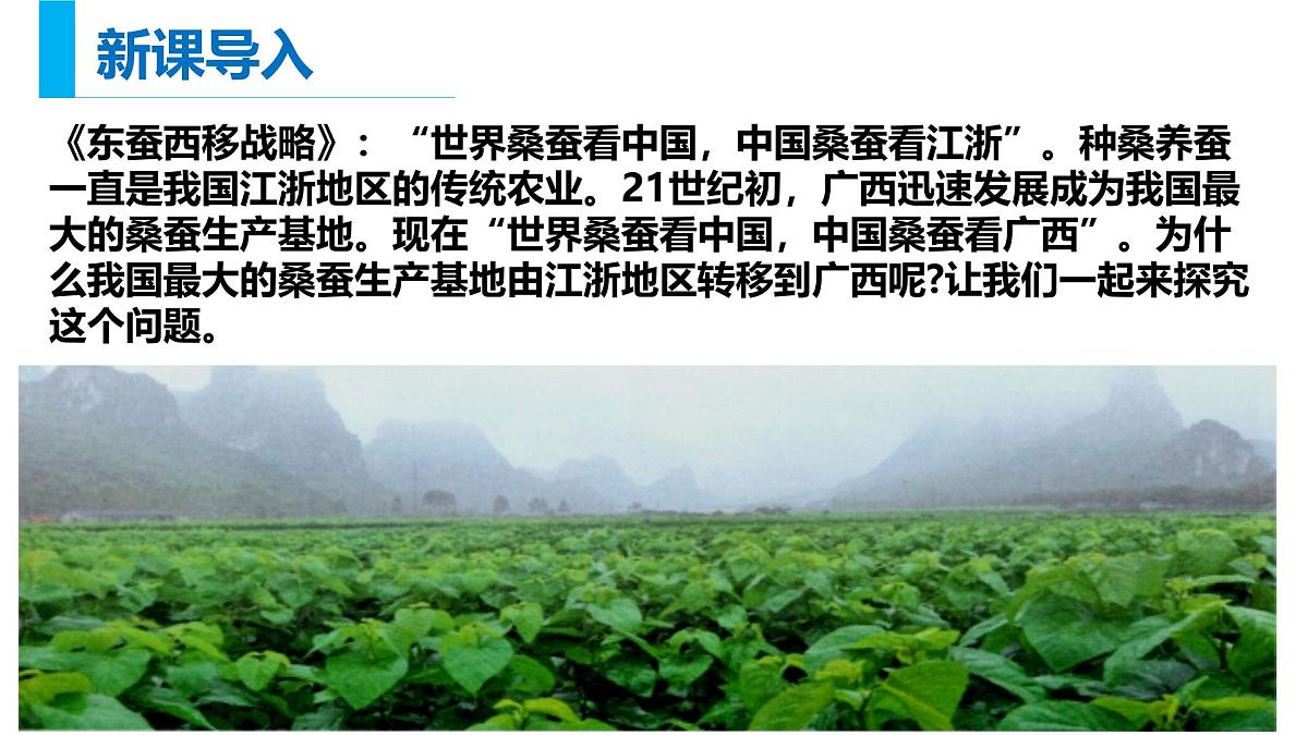 人教版高中地理必修 第二册 3-1《农业区位因素及其变化》课件第3页
