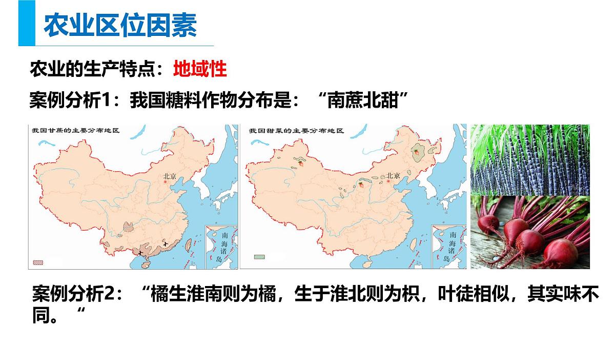 人教版高中地理必修 第二册 3-1《农业区位因素及其变化》课件第5页