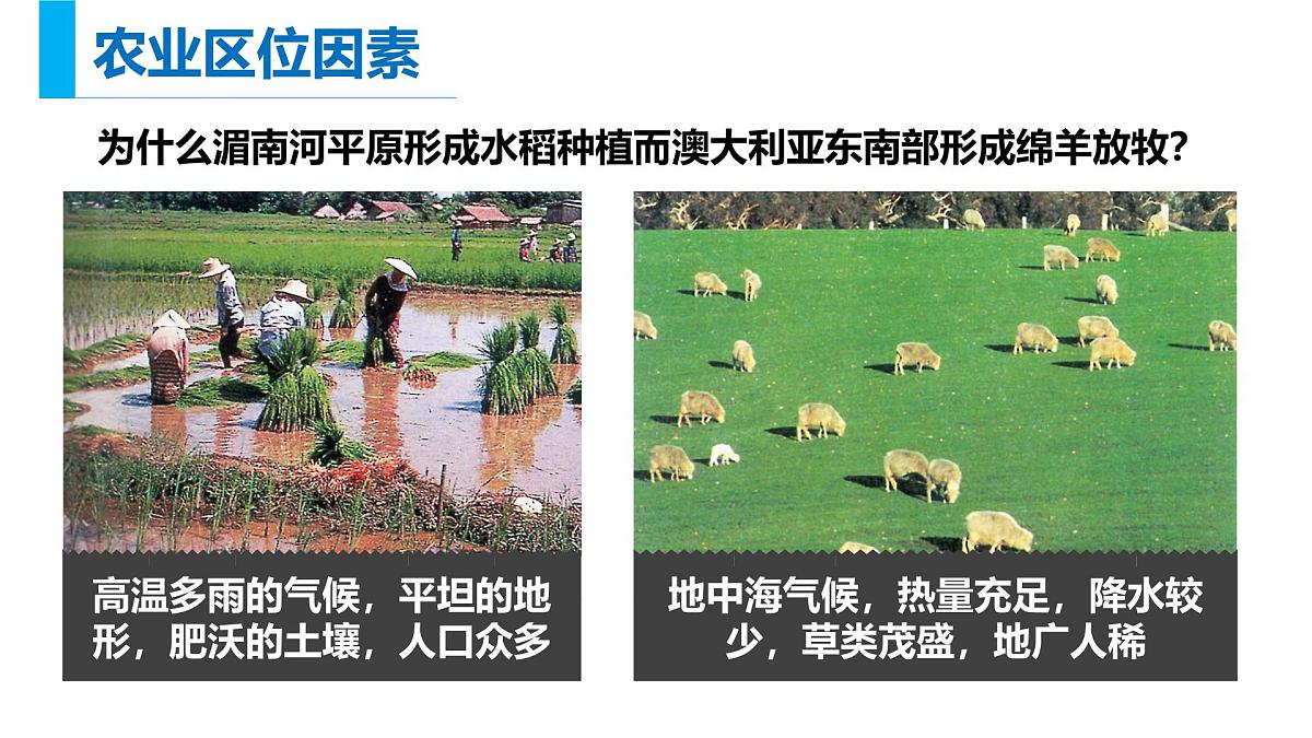 人教版高中地理必修 第二册 3-1《农业区位因素及其变化》课件第7页