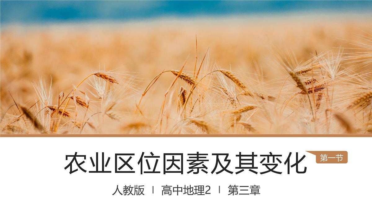 人教版高中地理必修 第二册 3-1课件《农业区位因素及其变化》第2页