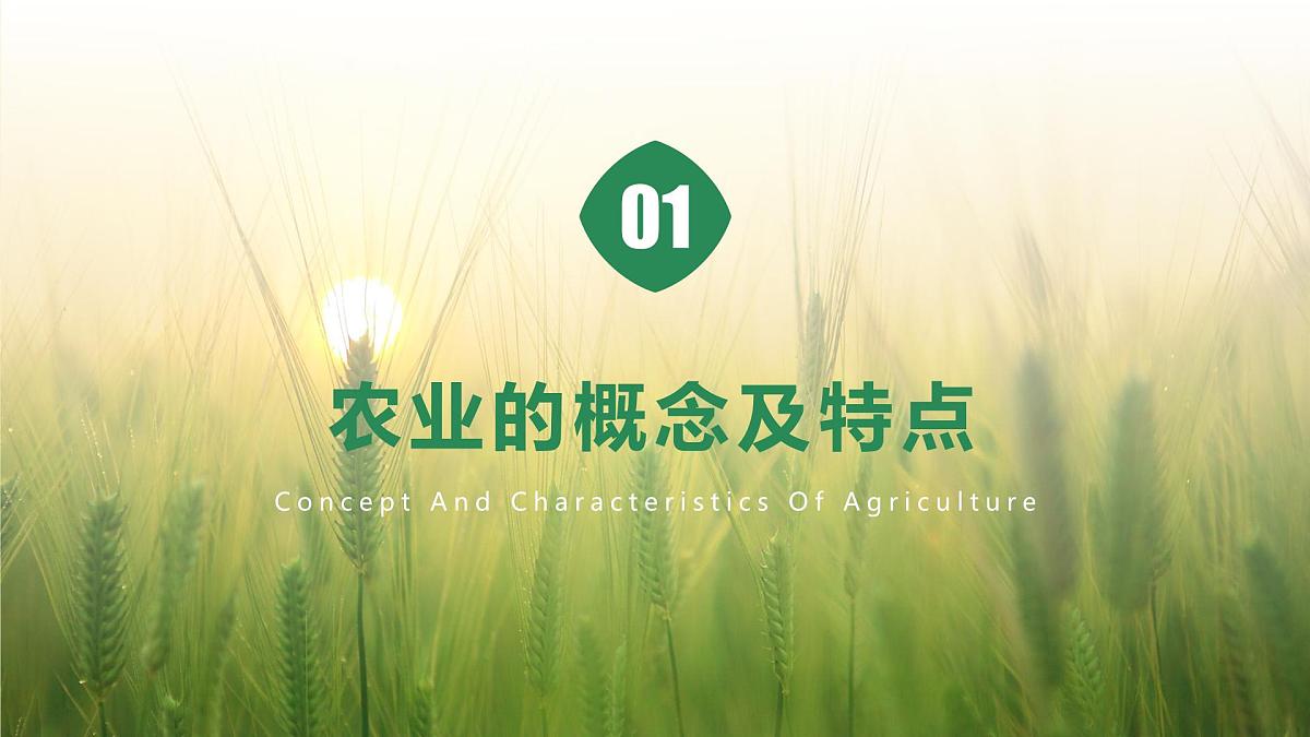 人教版高中地理必修 第二册 3-1课件《农业区位因素及其变化》第4页