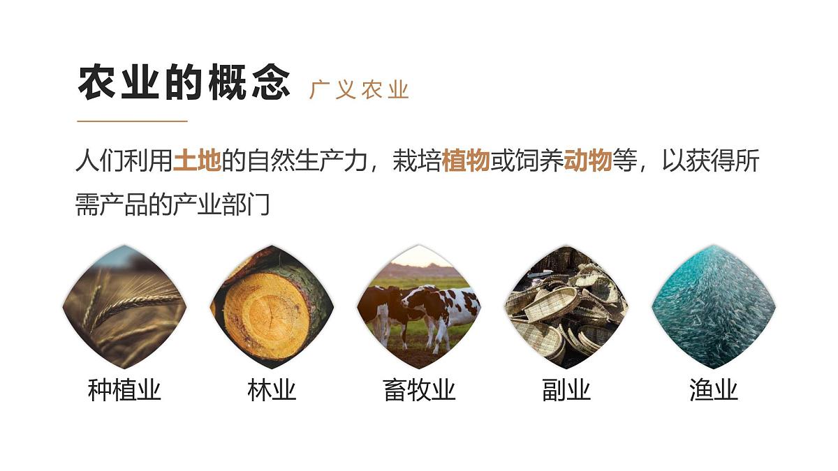 人教版高中地理必修 第二册 3-1课件《农业区位因素及其变化》第5页