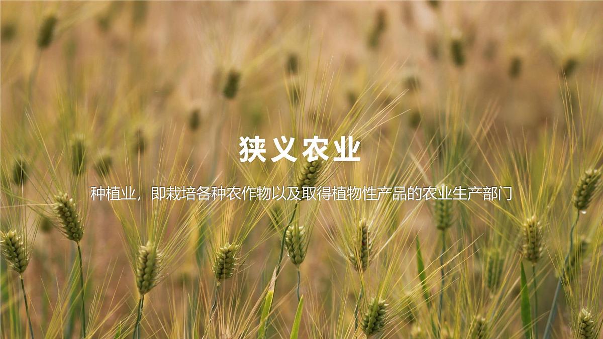 人教版高中地理必修 第二册 3-1课件《农业区位因素及其变化》第6页