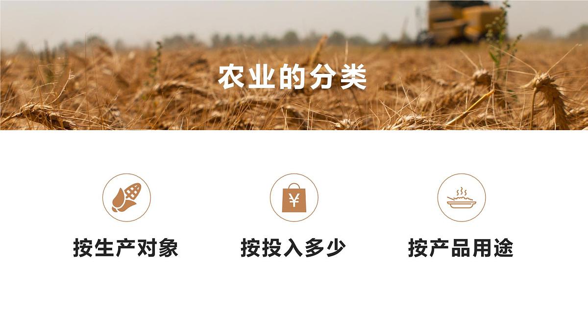 人教版高中地理必修 第二册 3-1课件《农业区位因素及其变化》第7页