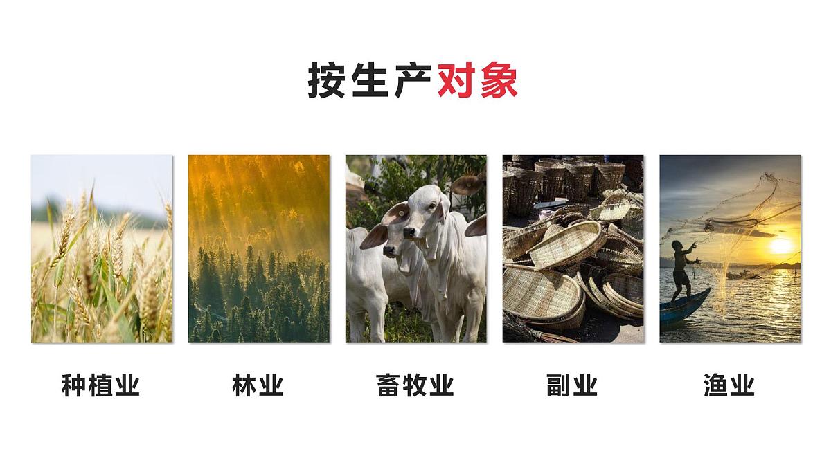 人教版高中地理必修 第二册 3-1课件《农业区位因素及其变化》第8页