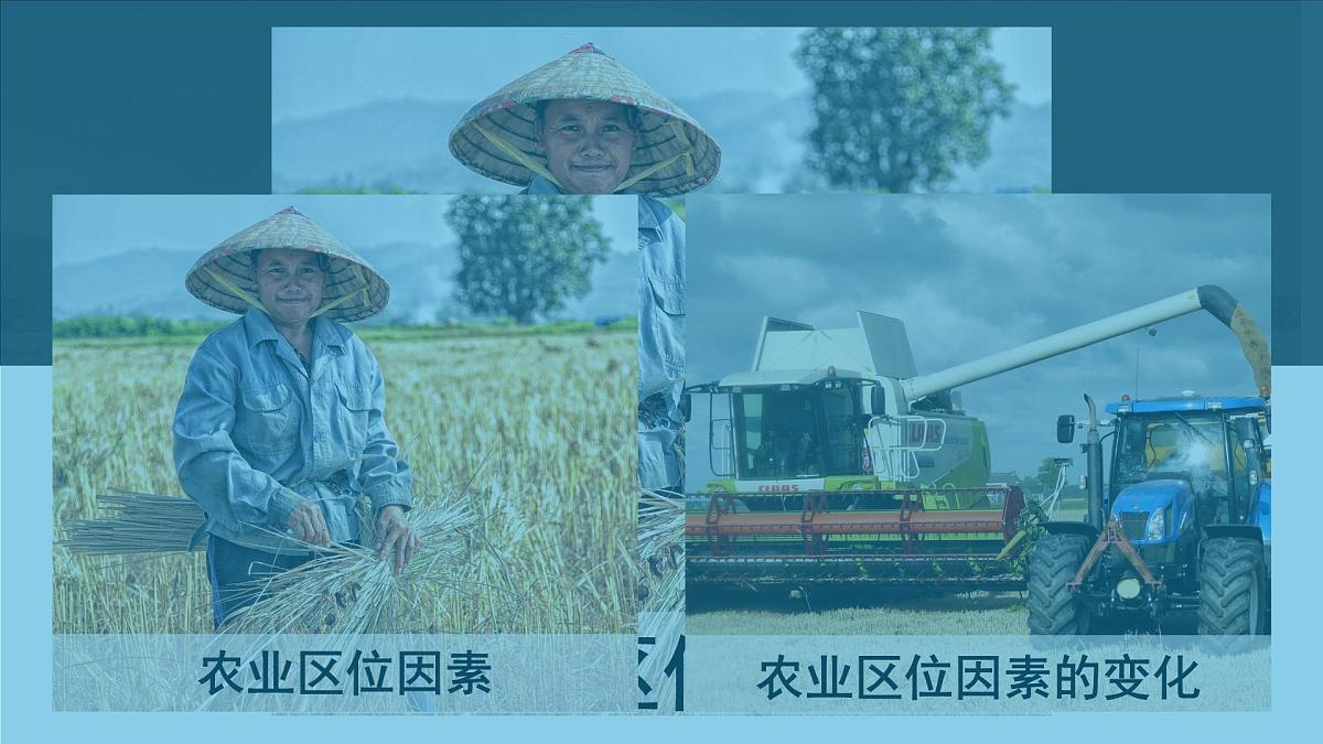 人教版高中地理必修 第二册 3-1课件《农业区位因素及其变化》第4页