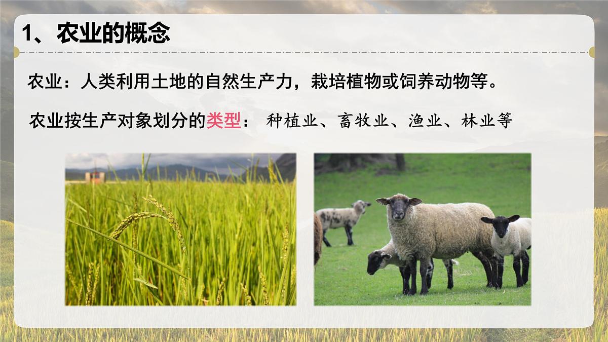 人教版高中地理必修 第二册 3-1课件《农业区位因素及其变化》第5页