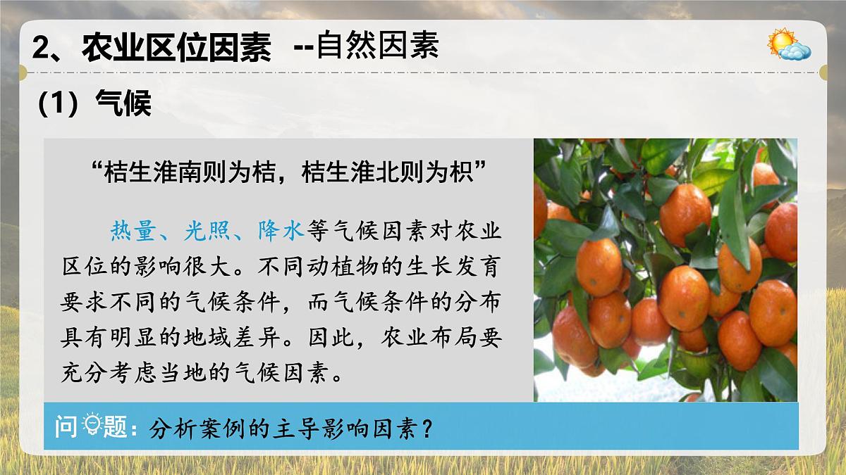 人教版高中地理必修 第二册 3-1课件《农业区位因素及其变化》第8页