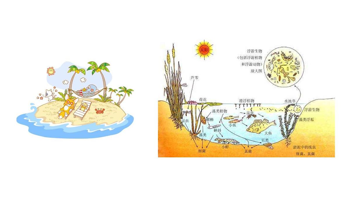 人教版高中地理 必修 第一册 1-2《太阳对地球的影响》课件第3页