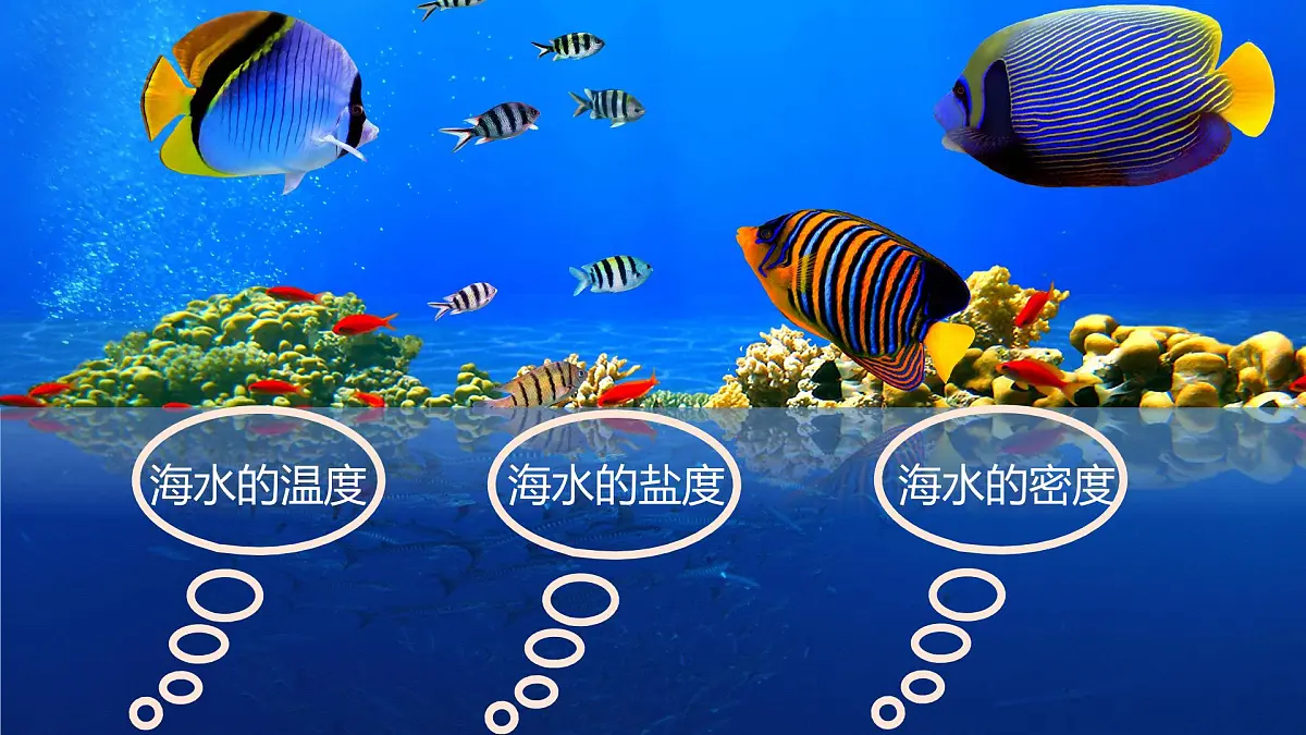 人教版高中地理必修 第一册 3-2《海水的性质》课件第6页