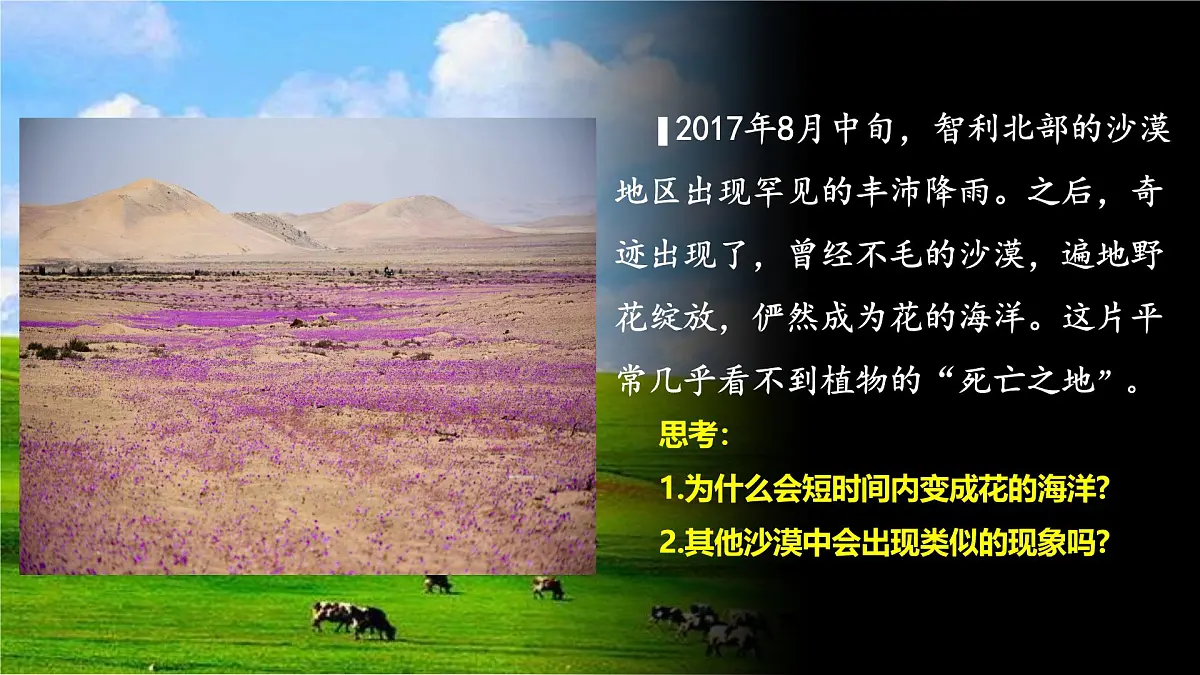人教版高中地理必修 第一册 5-1《植被》课件第3页
