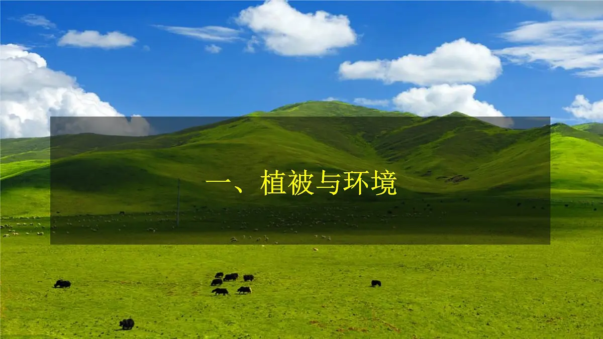 人教版高中地理必修 第一册 5-1《植被》课件第4页