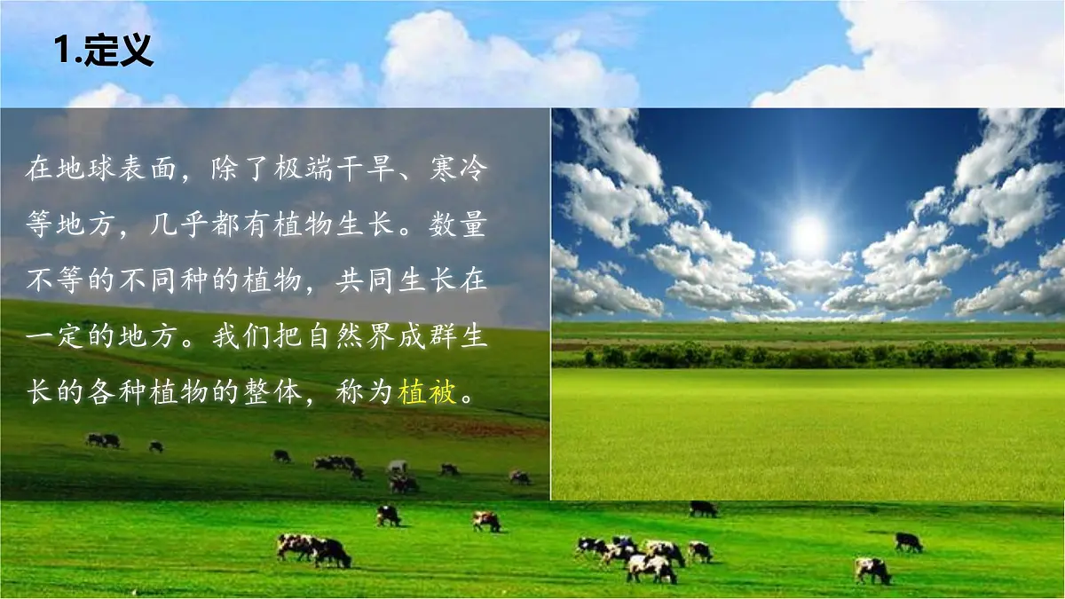 人教版高中地理必修 第一册 5-1《植被》课件第5页