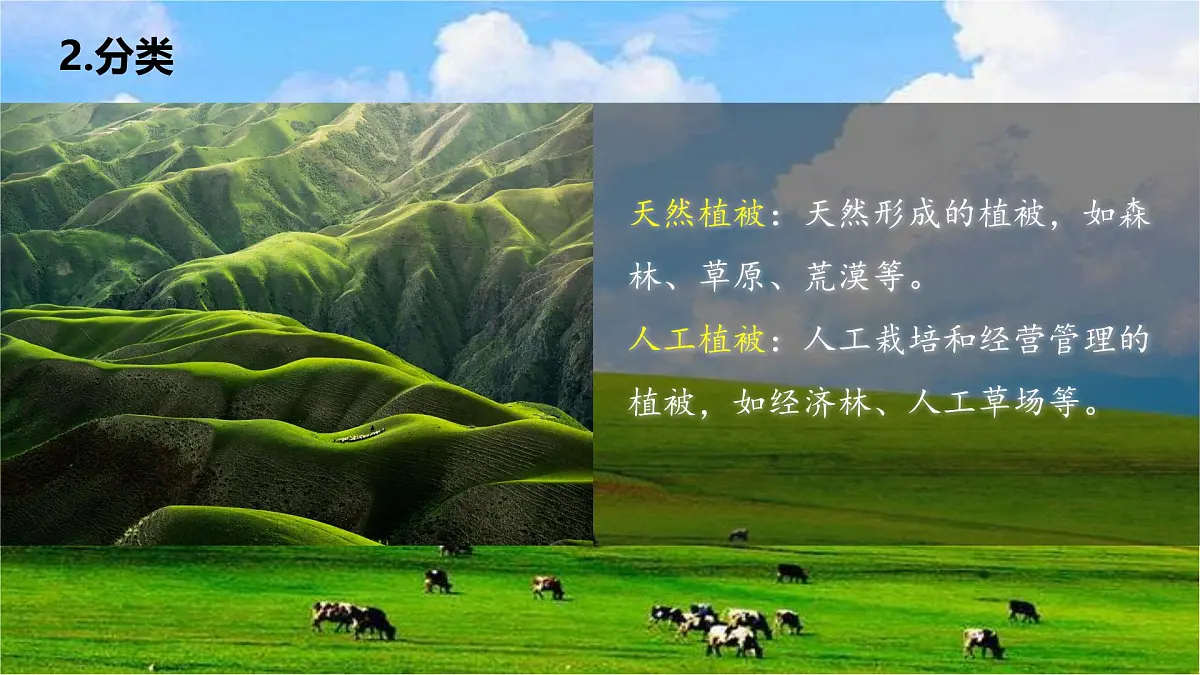 人教版高中地理必修 第一册 5-1《植被》课件第6页