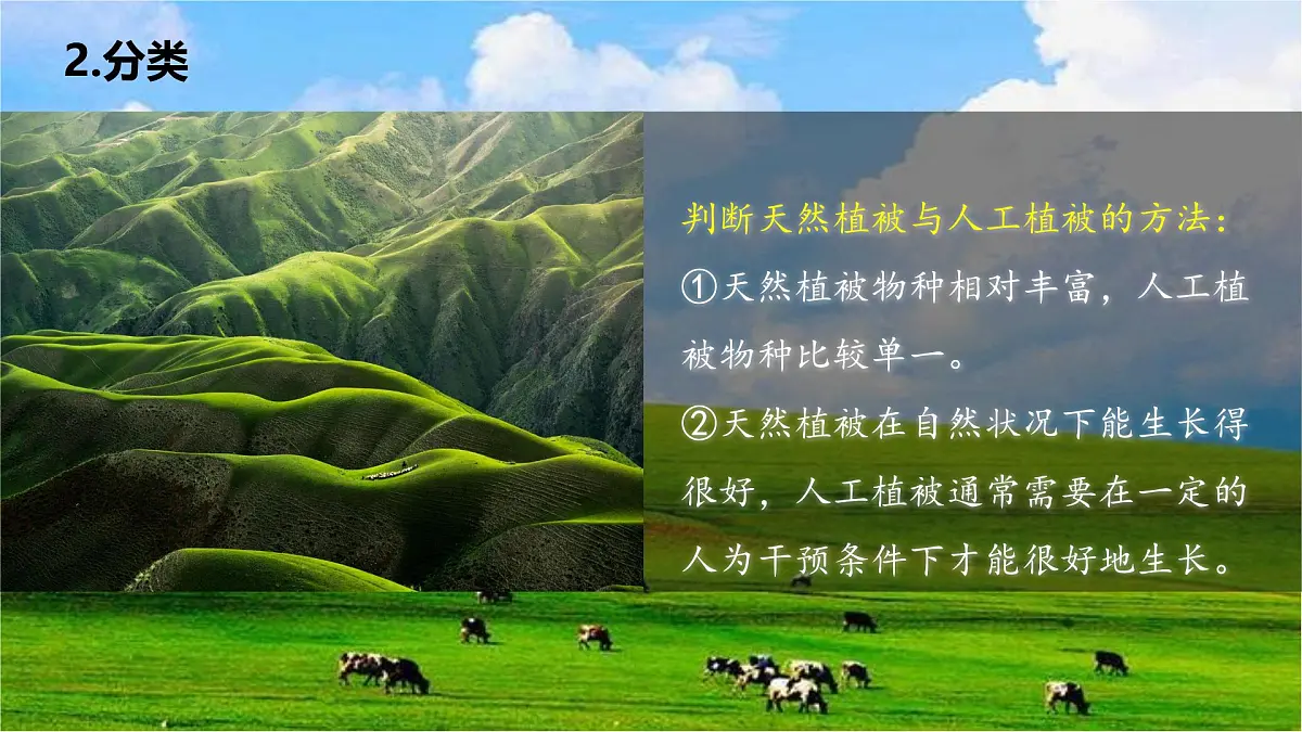 人教版高中地理必修 第一册 5-1《植被》课件第7页