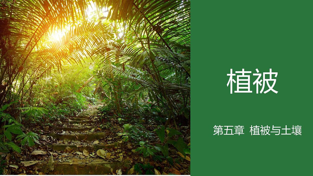 人教版高中地理必修 第一册 5-1《植被》课件第1页