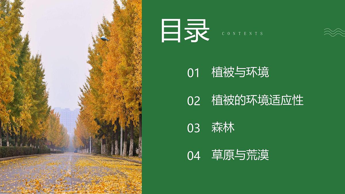 人教版高中地理必修 第一册 5-1《植被》课件第2页
