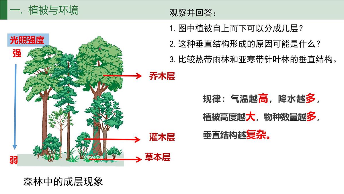 人教版高中地理必修 第一册 5-1《植被》课件第7页