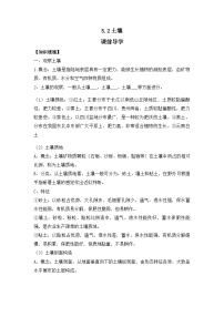 人教版 (2019)必修 第一册土壤导学案及答案