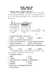 人教版 (2019)必修 第一册土壤综合训练题