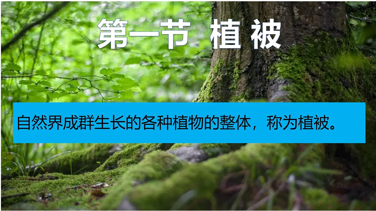 人教版高中地理必修 第一册 5-1《植被》课件第1页