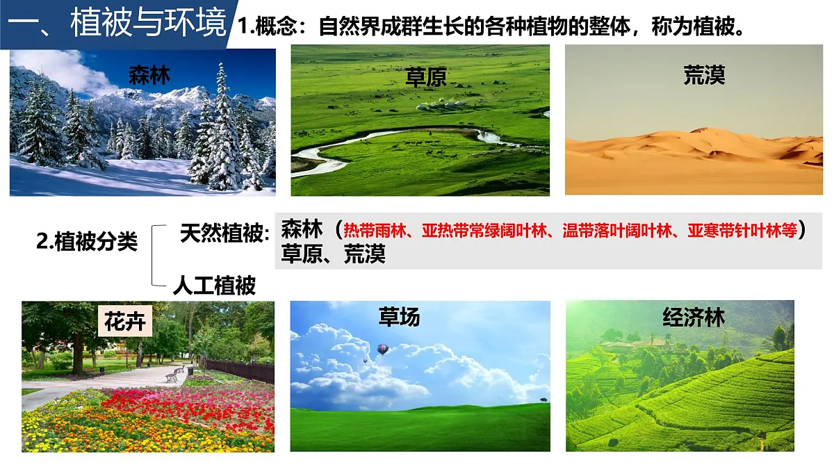 人教版高中地理必修 第一册 5-1《植被》课件第2页