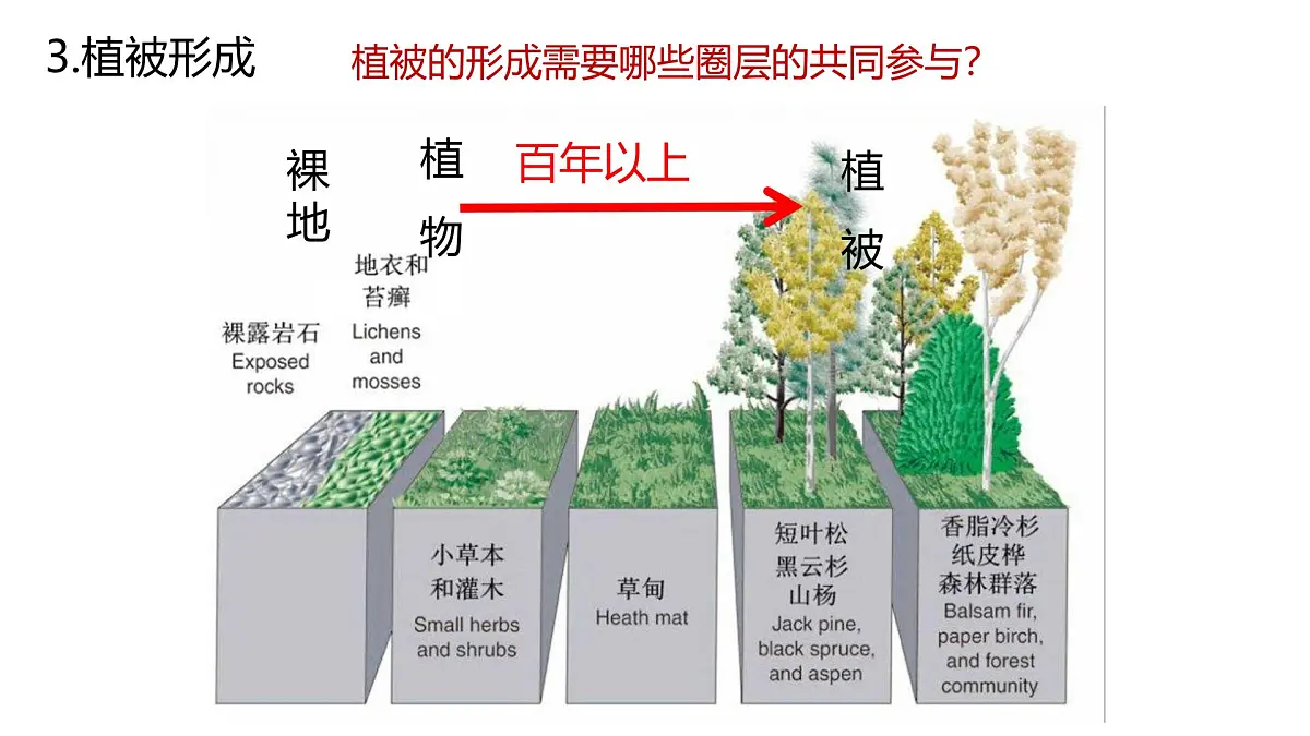 人教版高中地理必修 第一册 5-1《植被》课件第3页