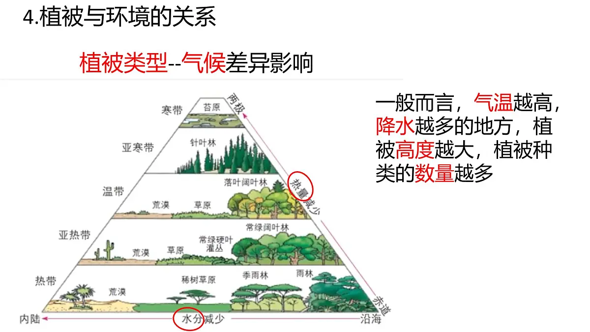 人教版高中地理必修 第一册 5-1《植被》课件第5页