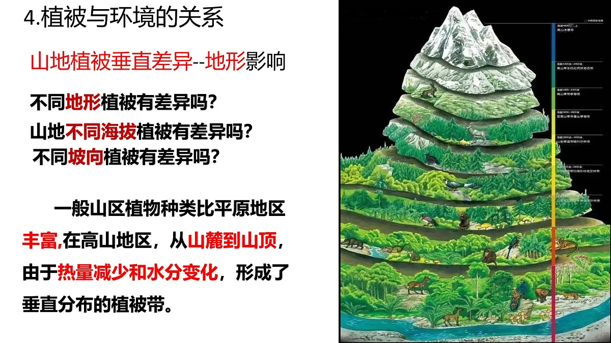 人教版高中地理必修 第一册 5-1《植被》课件第8页