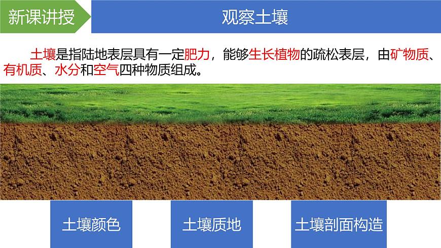 人教版高中地理必修 第一冊 5-2《土壤》課件第3頁