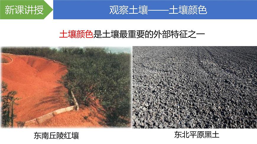 人教版高中地理必修 第一冊 5-2《土壤》課件第4頁